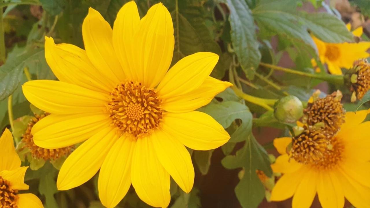 Finca Maracuya 엘파소 외부 사진